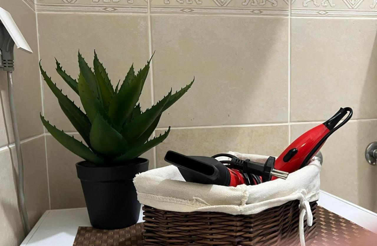 Prestige Apartment Novi Sad